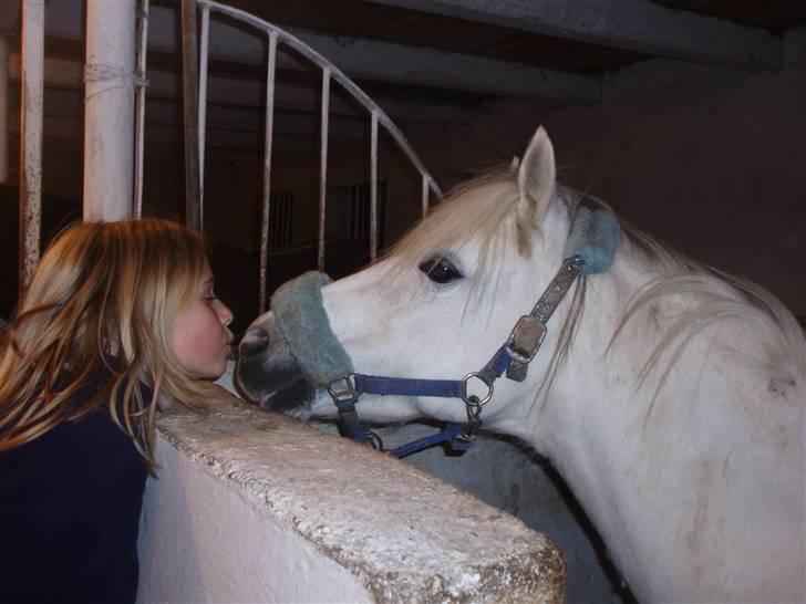 Anden særlig race Cirkeline *Udlånt* - møs møs møs <3 billede 13