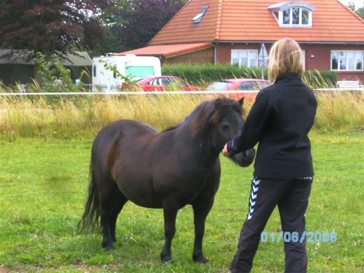 Shetlænder Oliver<3 Død  billede 4