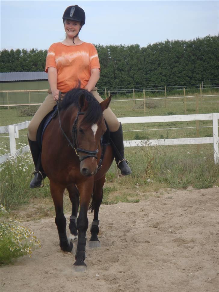 Anden særlig race Ally billede 14