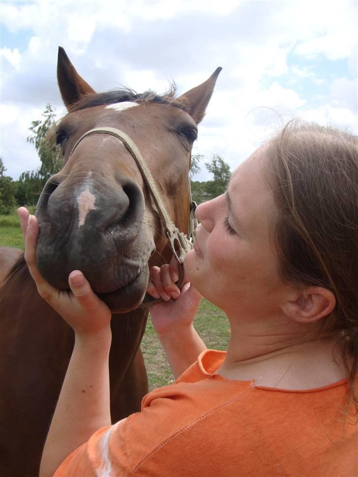 Anden særlig race Ally billede 16