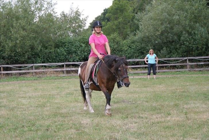 Islænder Lülli fra Krossi R.I.P  - #1 nyt. Velkommer til Lülli profil billede 1