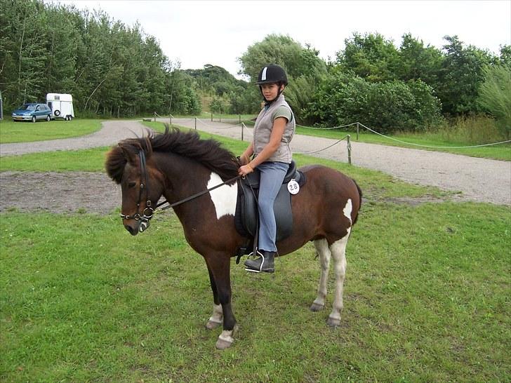 Islænder Lülli fra Krossi R.I.P  - #5. Nyt Lülli og Gry til stævne billede 5