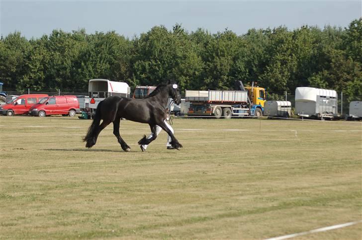 Frieser Wieske - herning 2009 billede 9