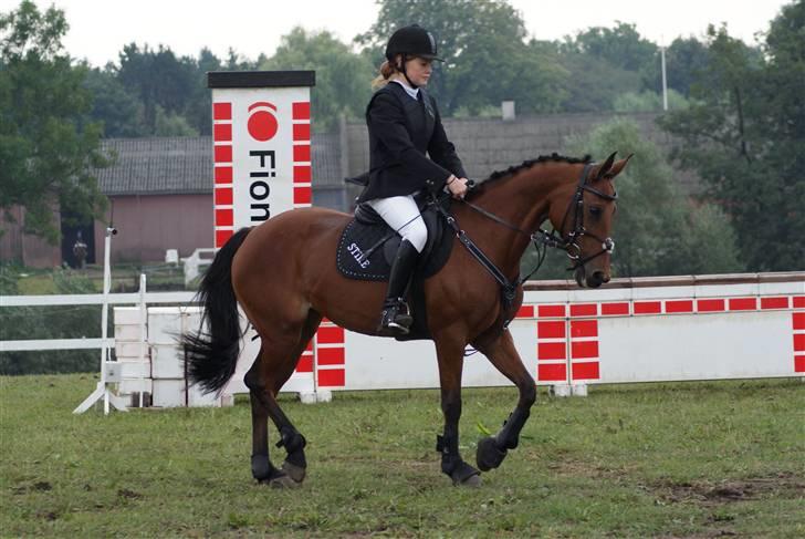 Anden særlig race Nørremarks Dunja - KER 09 foto:Linnea Dalsgaard Vilain billede 6