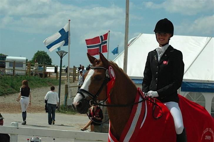 Anden særlig race Tim (solgt) billede 11