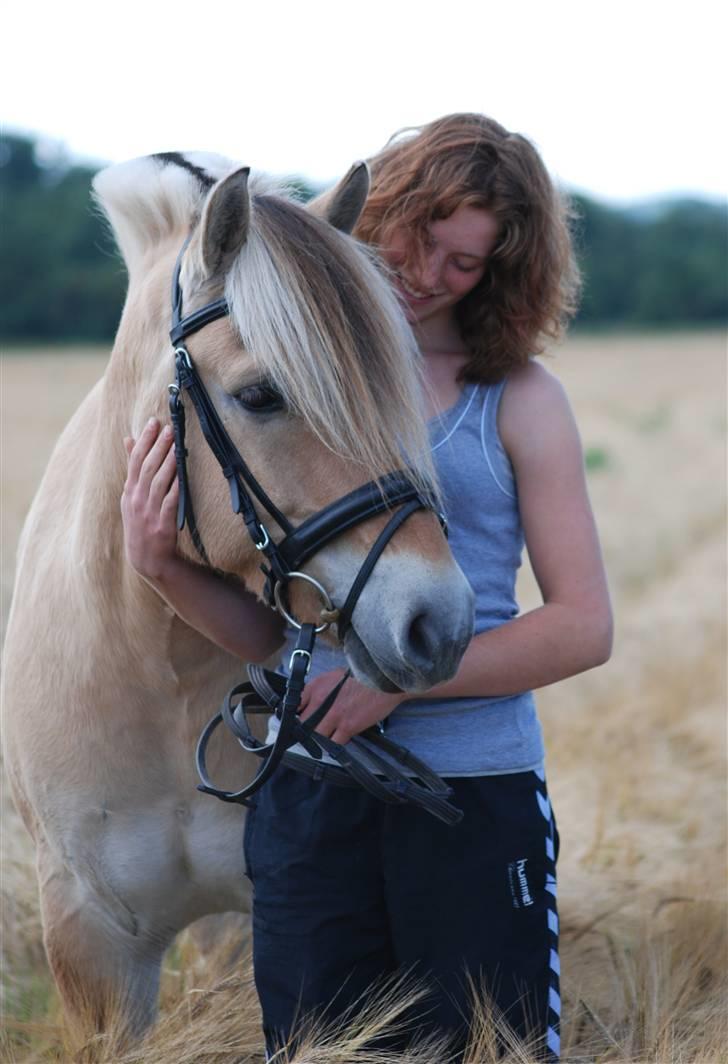Fjordhest Mastrup Zolo *Solgt* - Hyggestund d. 03.08.09   billede 6