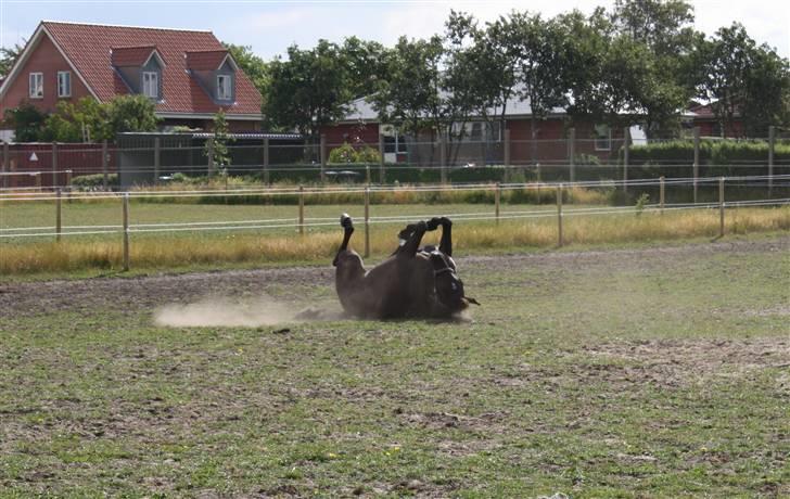 Oldenborg Chanel ( R.I.P) - Rulle, rulle billede 7