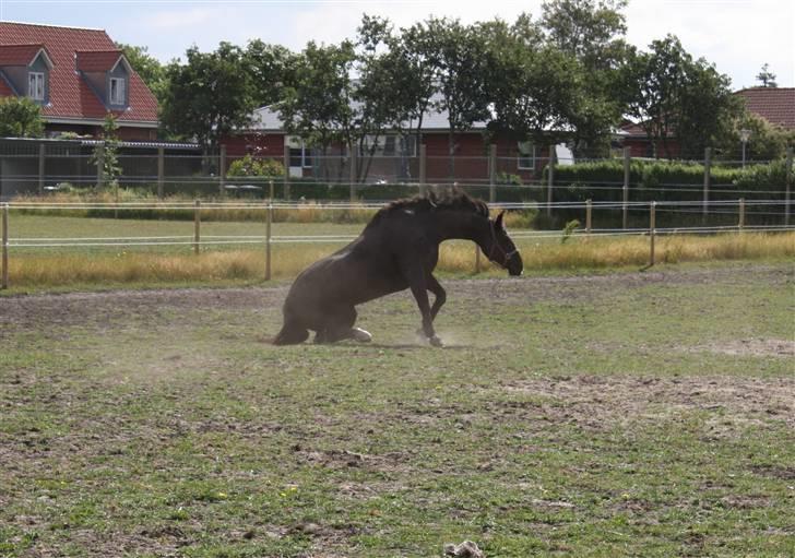 Oldenborg Chanel ( R.I.P) - Er man mon lidt tung i rumpen ?? billede 8