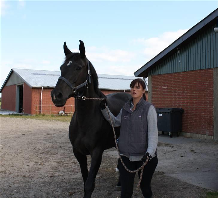 Oldenborg Chanel ( R.I.P) - Hva mon er så spændende ;-) billede 9