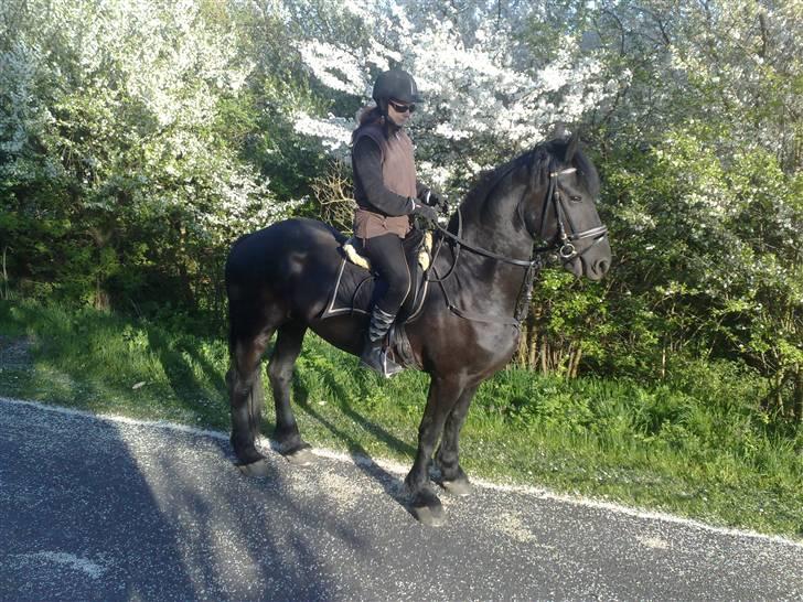 Frieser Teakje J-Zafir-  - en skøn tur, en lun forårsaften - 2009 billede 11