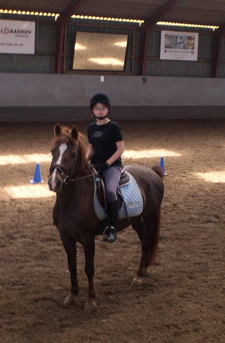 Anden særlig race Lady *Elevpony*  (Har redet) billede 2