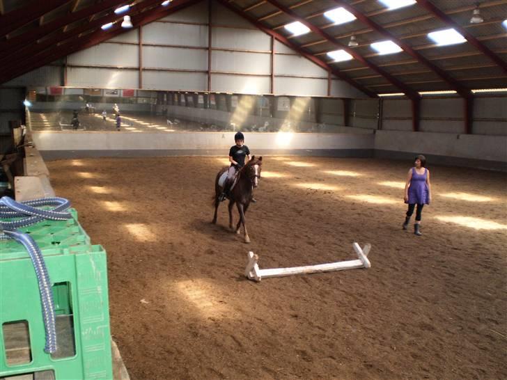 Anden særlig race Lady *Elevpony*  (Har redet) billede 7