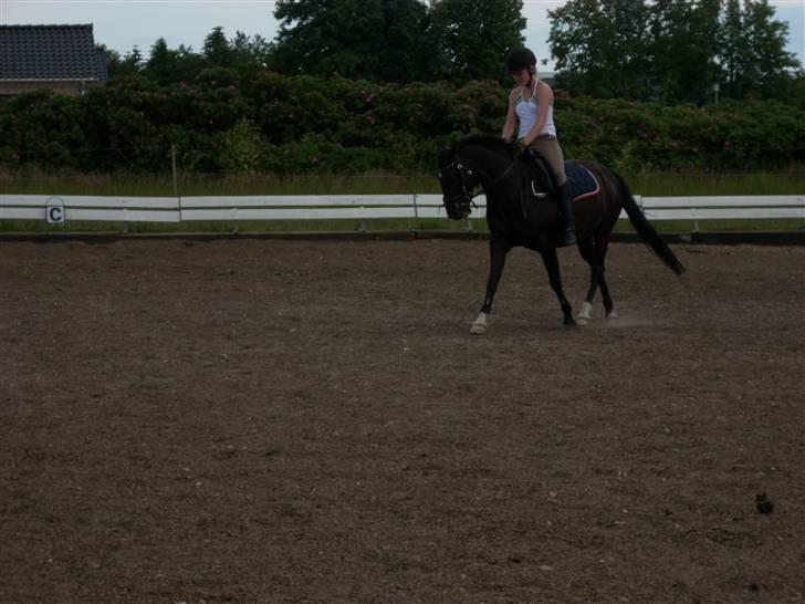 New Forest meteor - Til træning billede 17