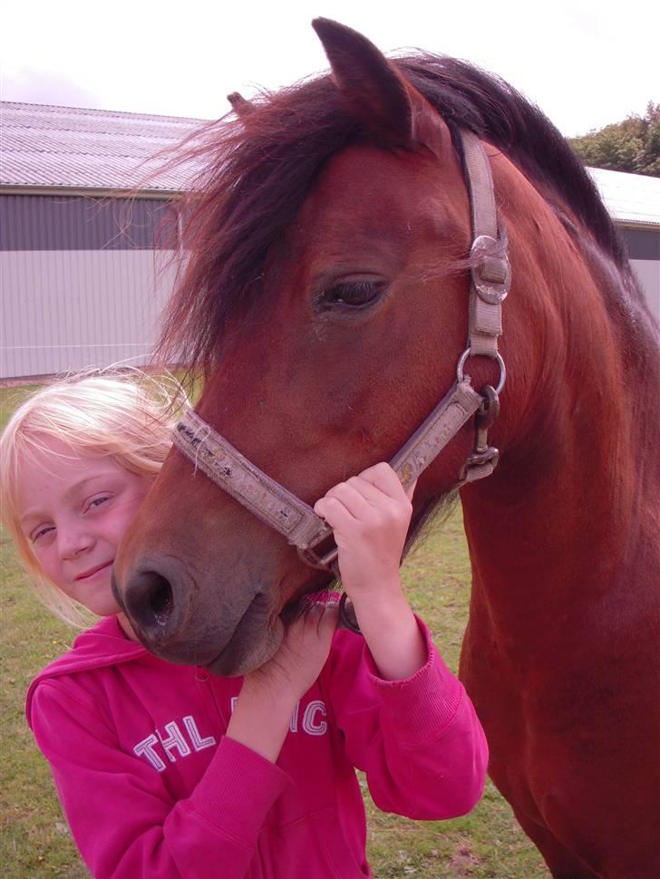 Dartmoor Lille lyn - Mig og Lille lyn der hygger på marken:) billede 1