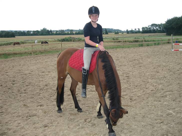 Anden særlig race Nørremarks Dunja billede 8