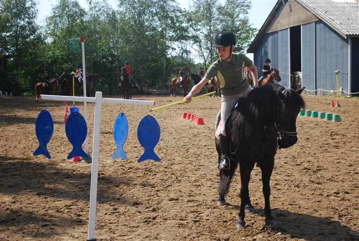 Anden særlig race Valde-solgt..;( - bakkegård ridelejr ponygames :) billede 8