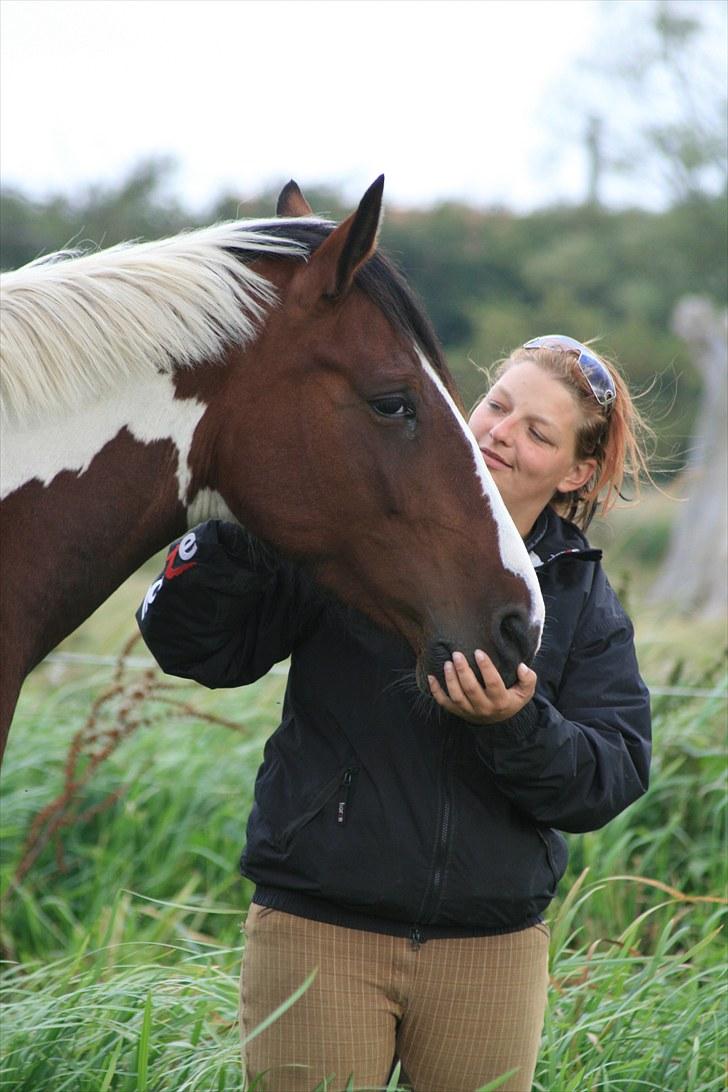 Pinto Cantabella Klejs billede 16