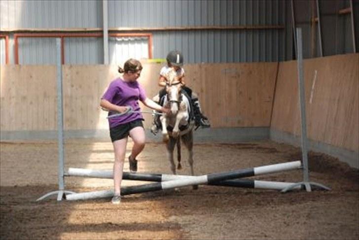 Pinto focus - focus der springer :D billede 16