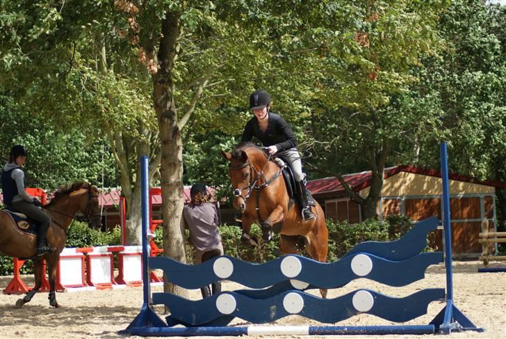 Anden særlig race Nørremarks Dunja billede 11