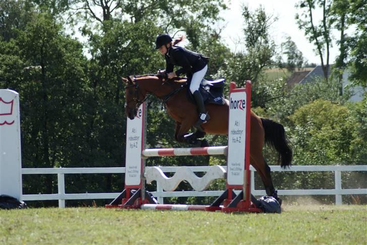 Anden særlig race Nørremarks Dunja - KER 09-foto:Linnea Dalsgaard Vilain billede 12