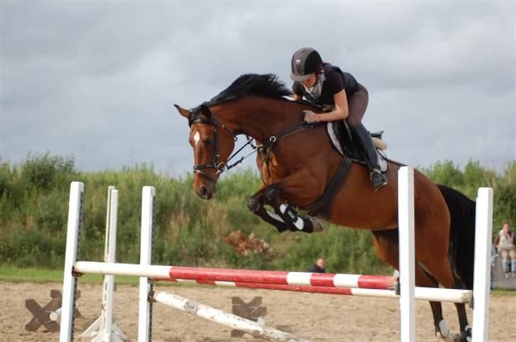 Dansk Varmblod *Bøgelys Cool Cash* B-hest - første gang jeg springer på hende <3 foto: Wanner  billede 2