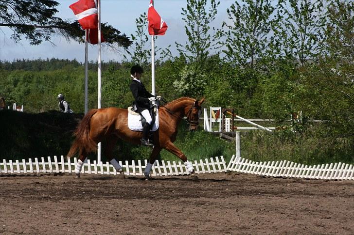 Oldenborg Pandoer - SOLGT :'( billede 6