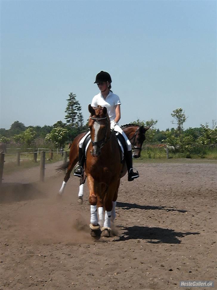 Oldenborg Pandoer - SOLGT :'( billede 9