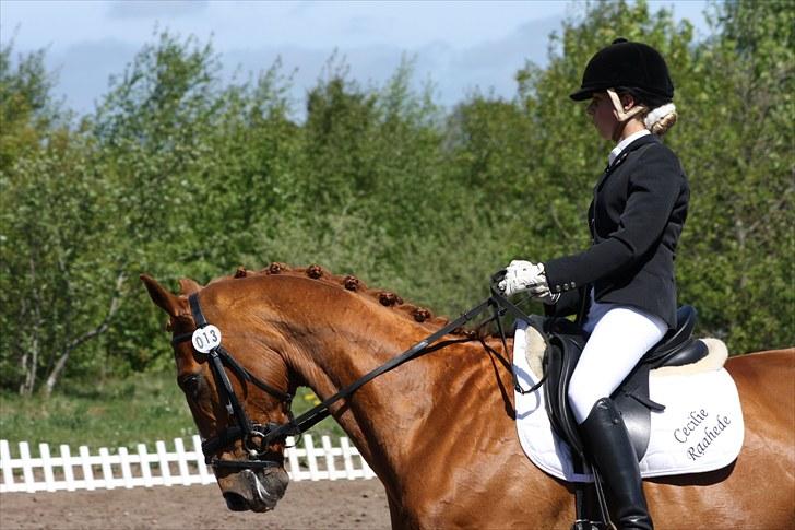 Oldenborg Pandoer - SOLGT :'( billede 16