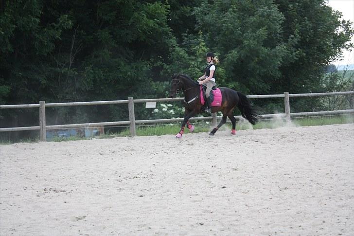 Anden særlig race Thyra - Til undervisning ved Julie... Foto: Josefine billede 2