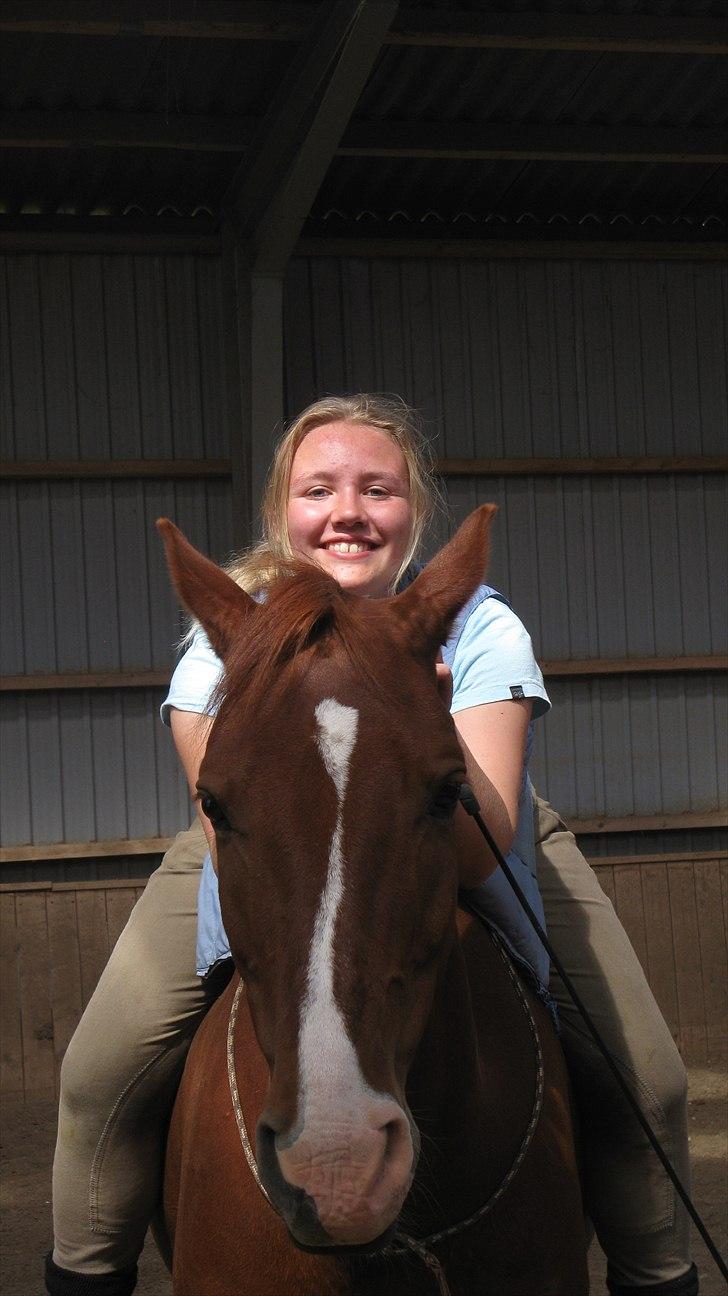 Dansk Varmblod Lance Calidos - En af de første gange i cordeo! :) "There is no secret so close as that between a rider and his horse." - Robert Smith Surtees billede 9