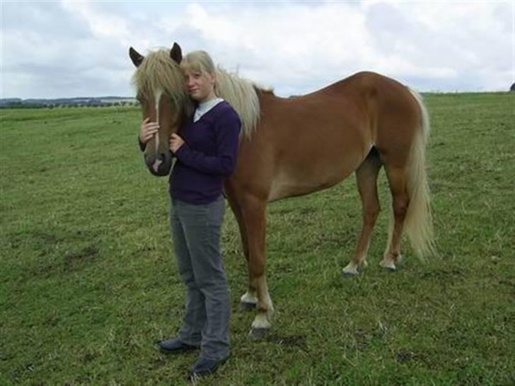 Islænder Hrísla fra Gerskov R.I.P. - Hrisla og mig ved Dropi fra Kilhrauni. billede 9