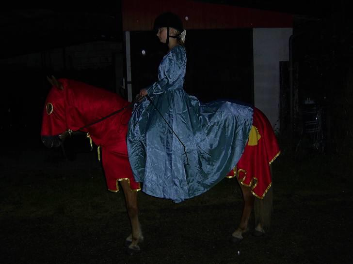 Islænder Hrísla fra Gerskov R.I.P. - Hrisla og mig til nattölt. billede 10