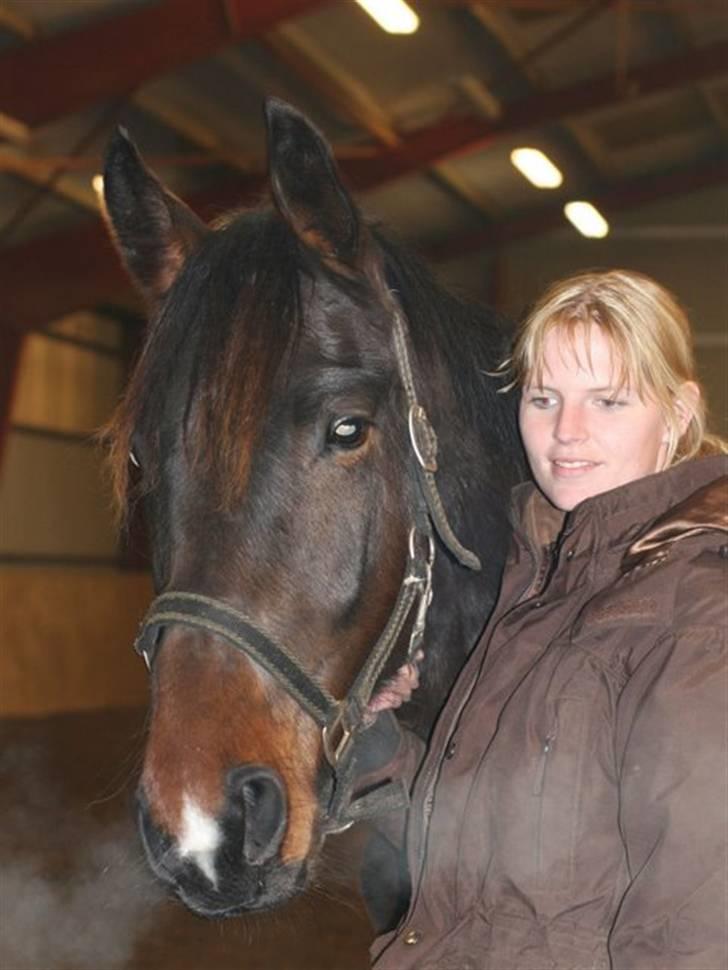 Anden særlig race Skovlundegårds Solero - Julehygge i december 2007 2 år gammel. billede 15