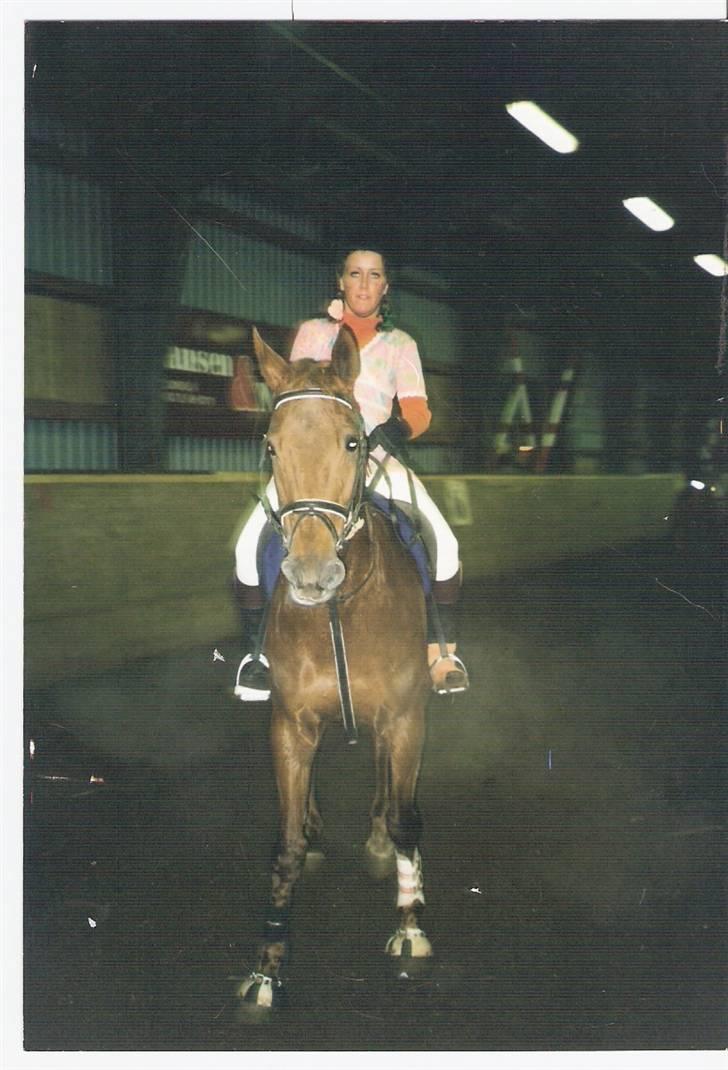 Dansk Varmblod Gritt- Rip smukke himmelhest?? - kostume springning på viborg rideklub;o) billede 12