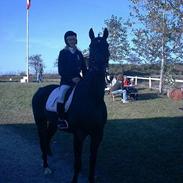 Anden særlig race Bacardi<3