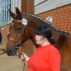 Dansk Varmblod Cheri,  død ;(