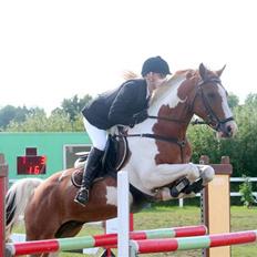 Pinto Wonder Boy 'Solgt'