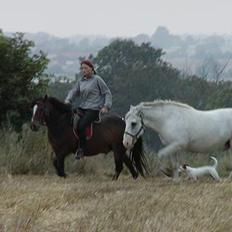 Anden særlig race Sonny*DØD*