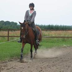 Traver Danielle *Solgt*