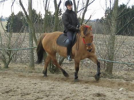 Anden særlig race Bella<,3 billede 15