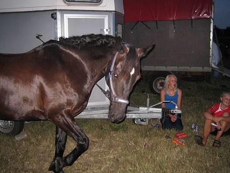 Anden særlig race Dark Shadow - vi hygger os til ponyuge 2006 <3 billede 15