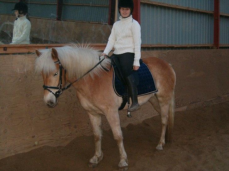 Tyroler Haflinger Gabriella Elghuset - 04.10.08 - mig og gaby billede 13