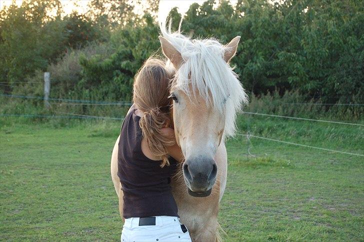 Tyroler Haflinger Gabriella Elghuset - 04.10.08 - mig og gaby og ditte og kiwi billede 15