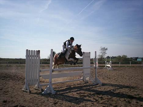 Anden særlig race Tex  (SOLGT) - Tex med nye ejer - Julie :) billede 2