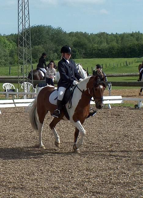 Anden særlig race Tex  (SOLGT) - Tex og Julie <3 billede 7