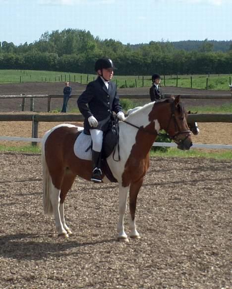 Anden særlig race Tex  (SOLGT) - Tex og Julie, hans nye ejer <3 billede 8