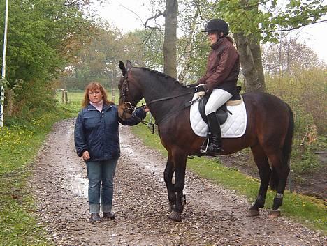 Connemara Kashmir (R.I.P) - Venter på vi skal ind på banen . .  billede 18