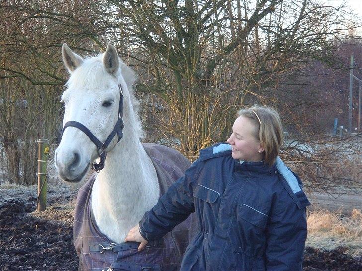 Connemara Lille bredvigs laban,RIP  - dejlige pony:D billede 10