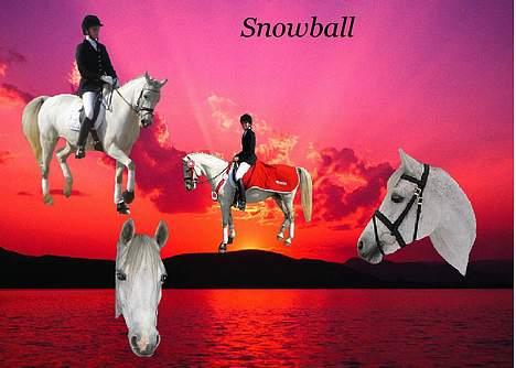 Anden særlig race Snowball R.I.P <3  - Lavet af Katrine..;D  sejt.. billede 8