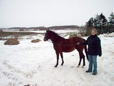 New Forest Starlight (solgt) - Et overraskelses billede af mig og starlight vinteren 2004 billede 9